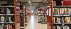 Kluczowe etapy pisania pracy licencjackiej: od wyboru tematu do obrony